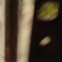 اخوان اي واحد يحتاج خلفه لبخ جص او سمنت  ياخف الله وحريص ع عمله شرط جو...