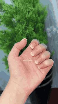 عنوان طوز خورماتو شارع قائمقامية قرب مدرس الفراهيدي مقابيل صيدلية المختار قرب دائرة البريد عمارة مصور الزواراء لاستفسار اتصال عل رقم تالي 
***********
