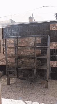 متاح قفص بغداد الكمالية  ليريدة يتصل 07712986688