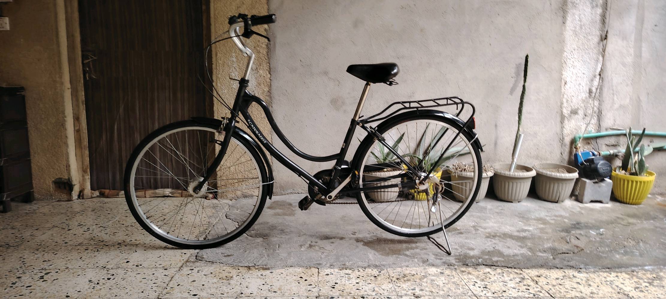 واسط الكوت حي الجهاد زويرجات 