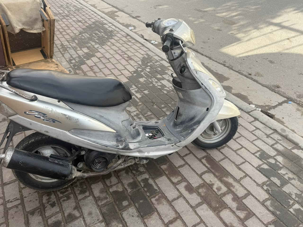 سلام عليكم
منغولي للبيع 
***********
