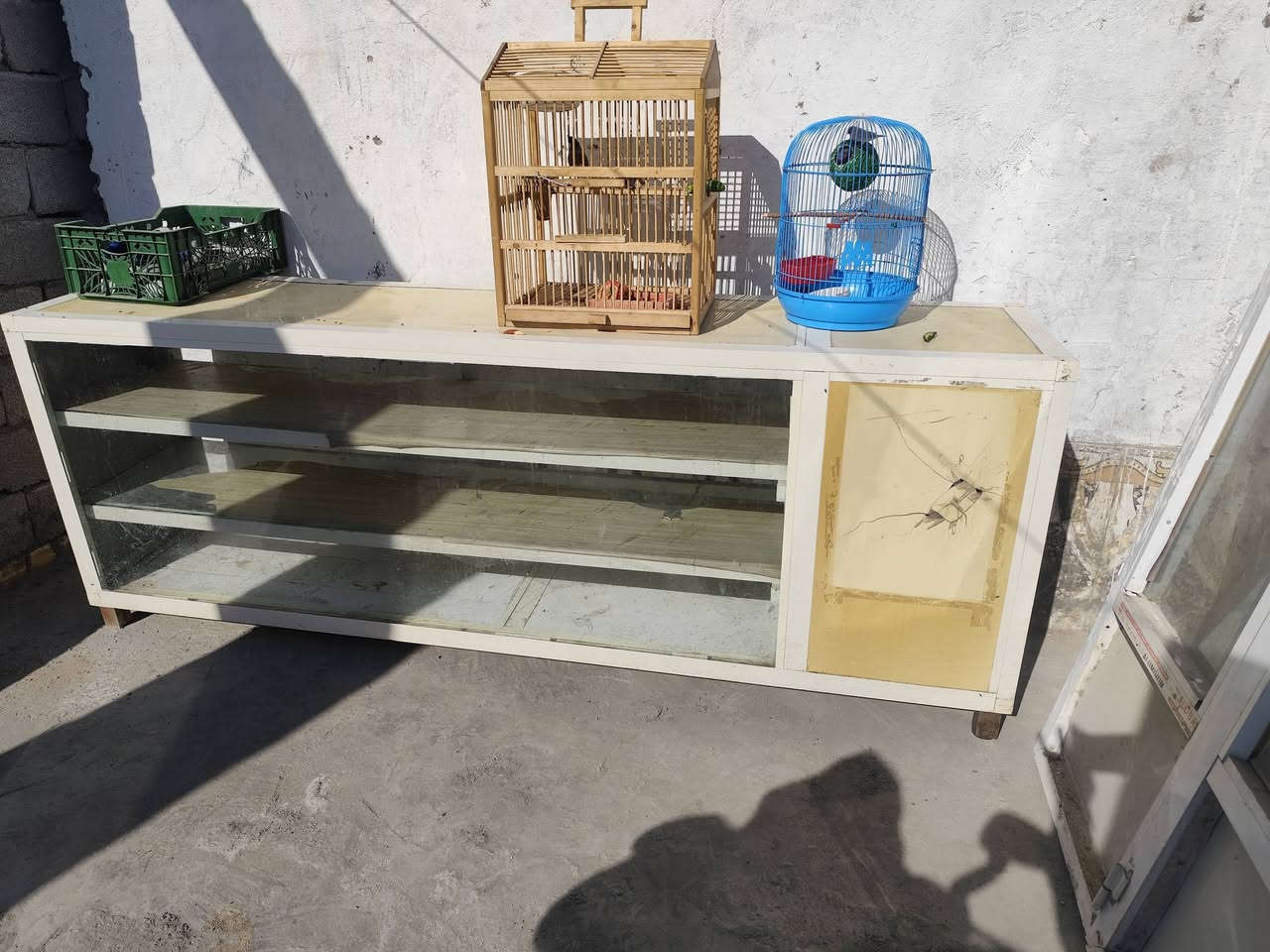 حلقات حلويات كم يوم باب محل اربع طلاقات جام خان الم يوم مكاني كاني حي الجوادين اللي ***********يريدهن يتصل
