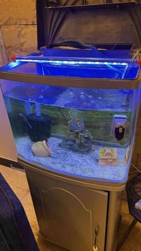 حوض اسماك • كامل • المحمودية