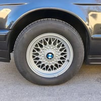 ويل وارد امريكي • تخم ويل • خليه اصلي