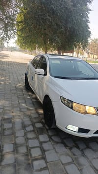 سيراتو فول • ٢٠١٣ • رقم أربيل