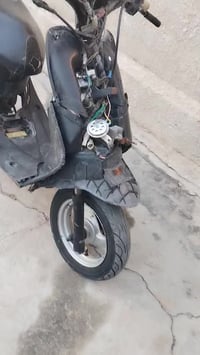 عصفور • بدون كفرات • بنوك/الشعب