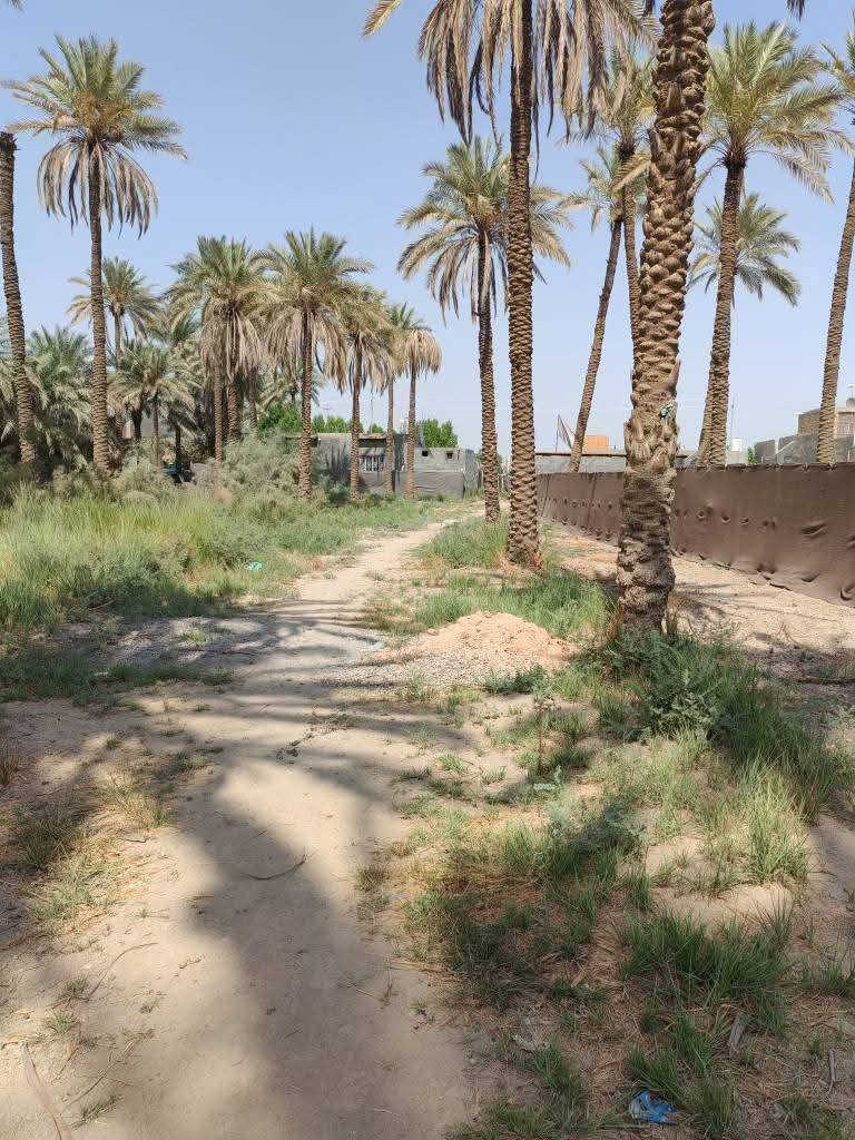 قطعه مساحتها 300متر العنوان بدايه بنشه نزله سعد بيجو طريق الزوار خدمات كامله تبعد عن جسر سيف سعد كيلو ونص وعن تبليط الرئيسي100متر
منطقه متكاملة من الخدمات سكنيه طابو زراعي سند25
سعر38
مكتب وعقارات الوارث
***********
