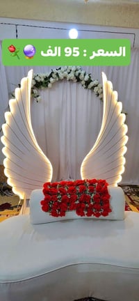 بيع مباشر اجنحه فقط السعر 95🌹⚘️ يوجد توصيل جميع المحافضات ⚘️🔮