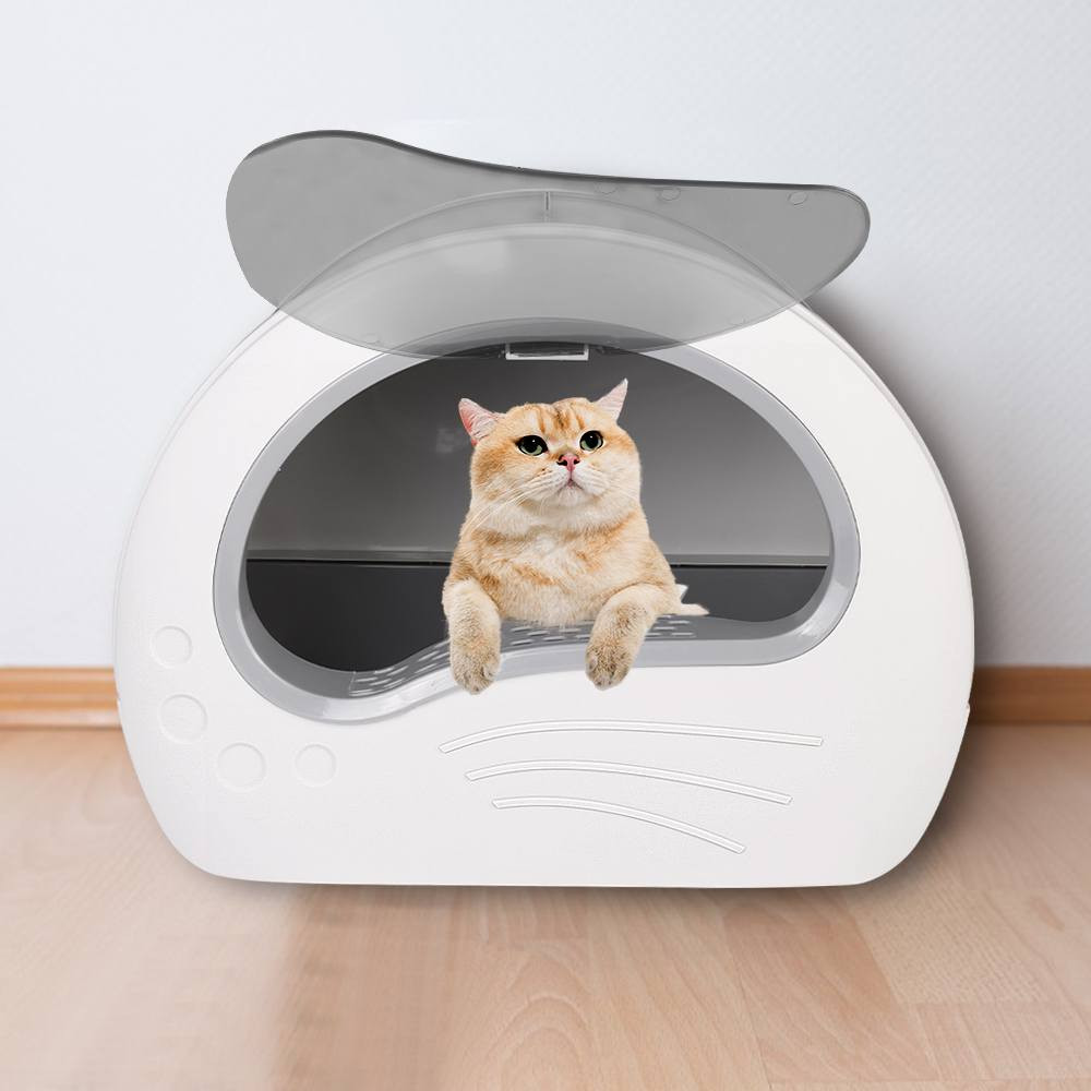 توالێتی پشیلە قەپات و بۆن بڕ
کوالێت و شێوەی زۆر جوان
زۆر دڵ خۆشکەر بۆ پشیلەکەت
ئێستا لامان بەردەستە


**إذا كنت صاحب هذا الإعلان وتريد حذفه لأي سبب، رجاءا أرسل رسالة إلى الدعم الفني**