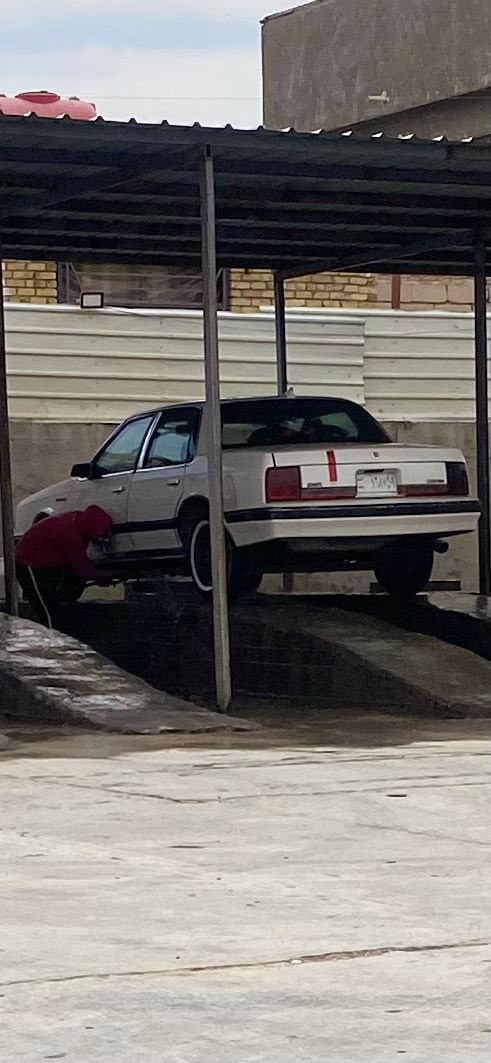 اولدز للبيع بيها خربطه بل ايسي  
سياره مكانها كربلاء طواريج  سياره مابيها كل ظربة بس خسفة بل قماره 
رقمها بغداد صدامي. وصاحبها يريد تحويل 
سياره بيع مستعجل 22
مراوس ماراوس 
رقمي ***********
