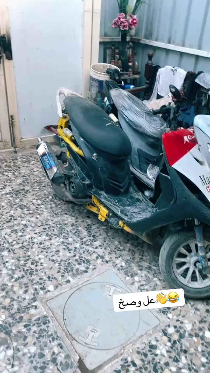 ماكس مال العب بوشة 55مشتغلهة بيدي مكينتهة كلة جديد مينسمع حسهة شلعة معدل تعليك دراجة سلف وهندر نكرة بكل وقت ريد مراوس شعدك نزل فقط مراوس مكاني بغداد كاظمية


**إذا كنت صاحب هذا الإعلان وتريد حذفه لأي سبب، رجاءا أرسل رسالة إلى الدعم الفني**