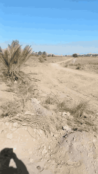 الدغارة • سند ٢٥ مباشر • ماء وكهرباء