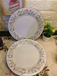 صحون كبار • قياس ٢٧ • عدد ٦