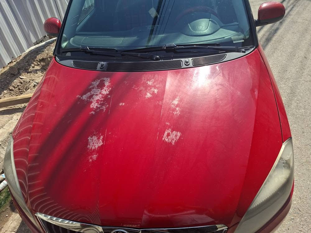 سکۆدە فابیا ٢٠١٣ مەکینە ١٦ بێ تۆڕبۆ بێ سبوغ نیودەرگای سەکن ساردەکوتە جەمپێکی خەفیفی پشتی هەیە کەمێک کاڵبونی بۆنیتی هەیە ، گێڕ و مەکینە کارەبایی بەشەرت سەیارەکی بێ مەسروفە ئیقتیسادییە سەنەوی ژینگە نوێیە *********** أربيل, العراق
