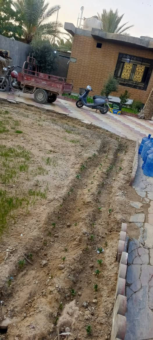 السلام عليكم ربع دونم للبيع مشيد عليها دار مساحته 200 متر مكان كربلاء الحر منطقة الرشيدية  نوع العقار سند 25 تحويل بسم المشتري السعر 215 مليون باقي التفاصيل موضح بالفيديو الشراي هذا رقمي ‏‪***********‬‏
