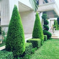 تاخذه ما تتندم نصيحه للمهتمين منشار تقليم اشجار كهربائي  الماني باله ن...