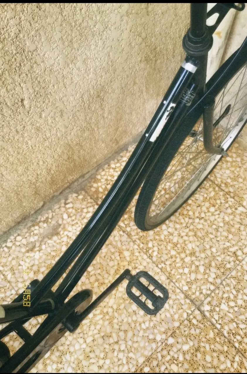 بيسكل للبيع شركة سانتوس سعر ١٢٥ بي مجال مكلف بنشر


**إذا كنت صاحب هذا الإعلان وتريد حذفه لأي سبب، رجاءا أرسل رسالة إلى الدعم الفني**