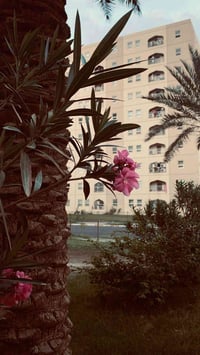 شقه١٠٠م B7 واصل10% تبديل كفيل سعر ٤٢ للاستفسار:07736442907