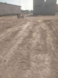 سند زراعي • ١٢٠م • بلد حي ازدهار