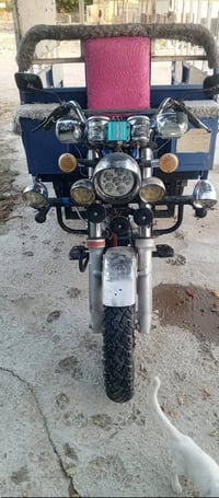 ستوته • ٢٠١٩ • كهربائي