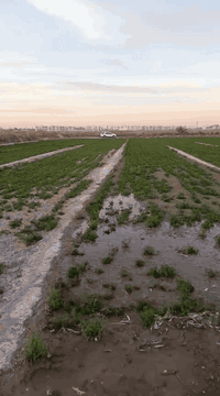 💎🔹مكـ✯͜͡المصطفى𝄠ـتب▪️💎
 
🕋 بسم الله الرحمن الرحيم 🕋

السلام وعليكم
 
🏡     🏘      🏚 

#يوجد_مزرعة   _للبيع

#العنوان  الفلوجة 
#النعيمية خلف الهياكل وخلف جامعة الفلوجة 

✅المساحة : 3750 م   
   

  #السعر_محدد_من_قبل_البائع 
    
        
        ⚖️⚖️   نوع الملك : طابو 25 تحويل مباشر  🏙 

            #السعر💰💸:  180 مليون وبيه مجال

⭕ الاستفسار اكثر رجا مراجعة 

🥇#مكتب_المصطفى_للعقار 
  
ملاحظة/ السعر محدد من قبل صاحب العقار

💯علماً البيت جاهز للسكن🗣️
     
        ((شعارنا المصداقية)) 

⭕ اذا عندك عقار تريد تعرضه للبيع او تريد تشتري عقار  الاستفسار أكثر 

مراجعة (((مكتب المصطفى اللعقار))) 

________________________________

📬فقط ارسال المعلومات  على الواتساب او الاتصال على هواتف المكتب 

🤳متابعة الصفحه يصلك كل ما هو جديد

⏪ملاحضه: السعرالعقار  يحدد من قبل البائع

  🏘️بيع وشراء الأراضي السكنية والزراعية وكافة

 العقارات🏘️🌐Anbar Fallujah_ الانبار الفلوجة🌐.

       ((««نستقبل هواتفكم على لارقام التالية»»     
       {{  © المحامي ياسين رافع العيساوي ©}}           

***********   واتساب + اتصال 
***********    اتصال هاتفي كورك + واتسا
