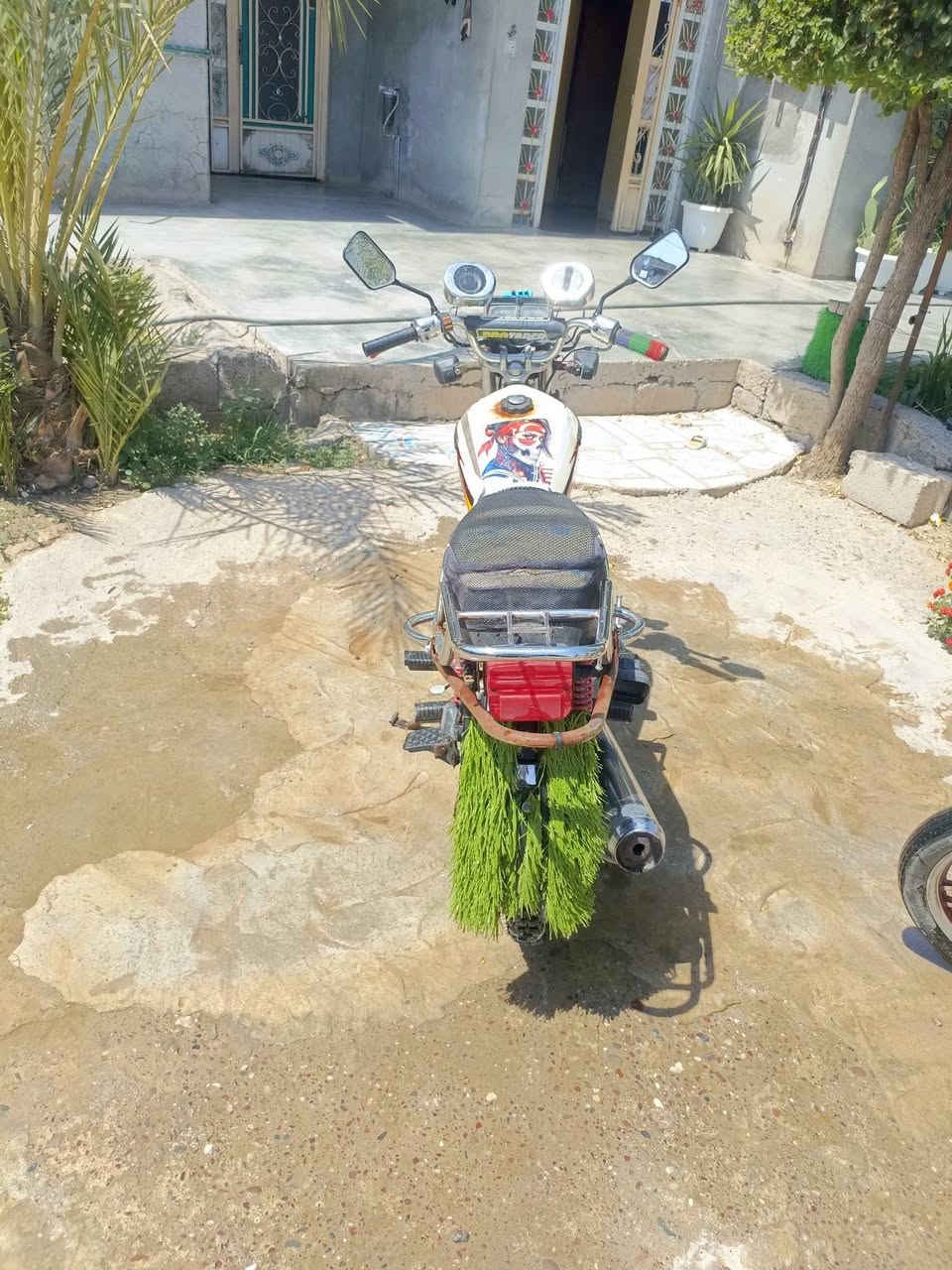 س سلام عليكم موطور تايكر موديل 19 معمر جديد محرك نضيف حيل موطور جهز كهربيات كلها شقاله بالشاير مو مربوطات فقط موطور جهز محرك 125 طياره 4 كير للبيع سعرو 325 وبي مجال شي قليل مكاني صلاح الدين الشرقاط تصل ودلل ***********
