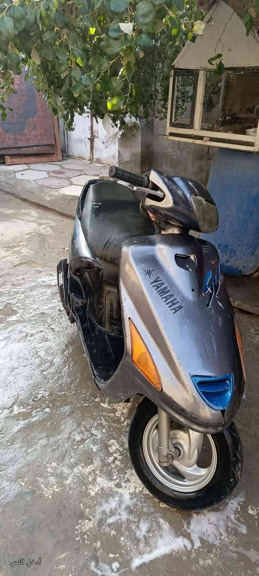 سلام عليكم دراجه فراشه للبيع نهضه ومعدل تخبل دراجه كامله سلف هندر كهرباياتهه كلهه شقاله سعر 350وبيهه مجال مكاني البصره الزبير رقم *********** 💙🤘🏻
