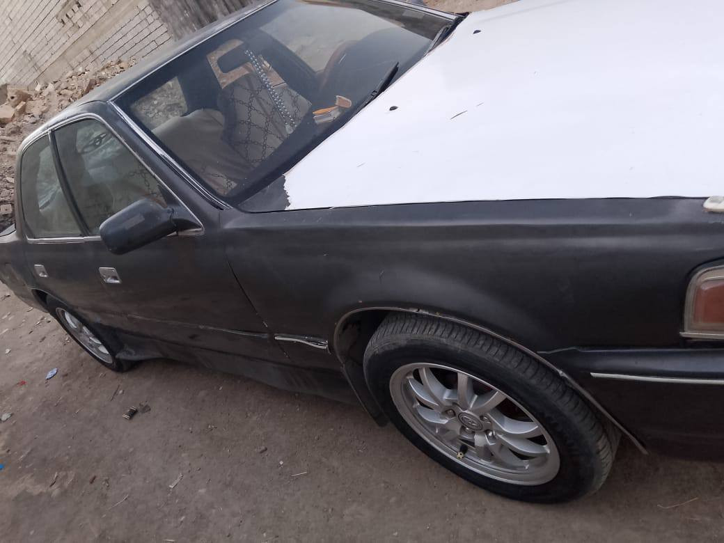 السلام عليكم ورحمه الله وبركاته
كرسته عضم للبيع 
موديل /91
تخم تاير شاشة بك هواكس 
باتري جديد 
صدر خلفي امامي 
رقم ديالى سنويه نافذه 
تحويل مباشر 
تدفئه وتبريد 
مكينه وكير ونجي حاويه 
السعر /38
العنوان ديالى المقدادية 
ه/‏‪***********‬‏
