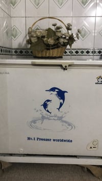 ثلاجة • سيد صادق