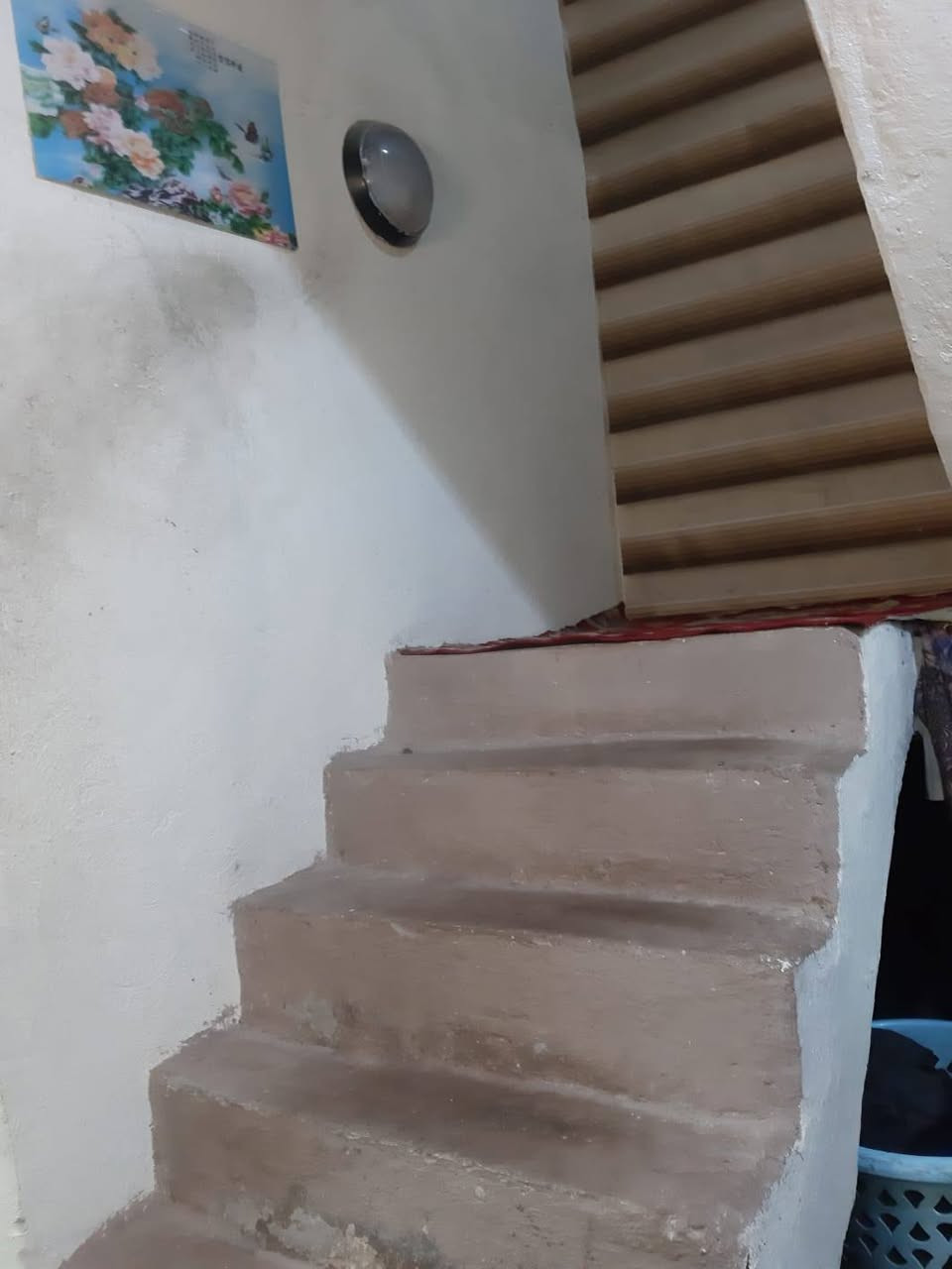 بيت للبيع مساحه 75 متر نزال 20 بغداد الأمين الثانيه شارع النواب التواصل خاص


**إذا كنت صاحب هذا الإعلان وتريد حذفه لأي سبب، رجاءا أرسل رسالة إلى الدعم الفني**