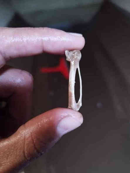 داشکاندن تا ١٥/١/٢٠٢٦
بۆیە هەر ئیستا تەلەفون بکە سەرەیەک بۆ خۆت بنوسە تا تەنکیەکانتان بە جوانترین شێواز بۆ پاک بکەینەوە بە سعری زۆر زۆر کەم
ژمارەی موبایل
***********
