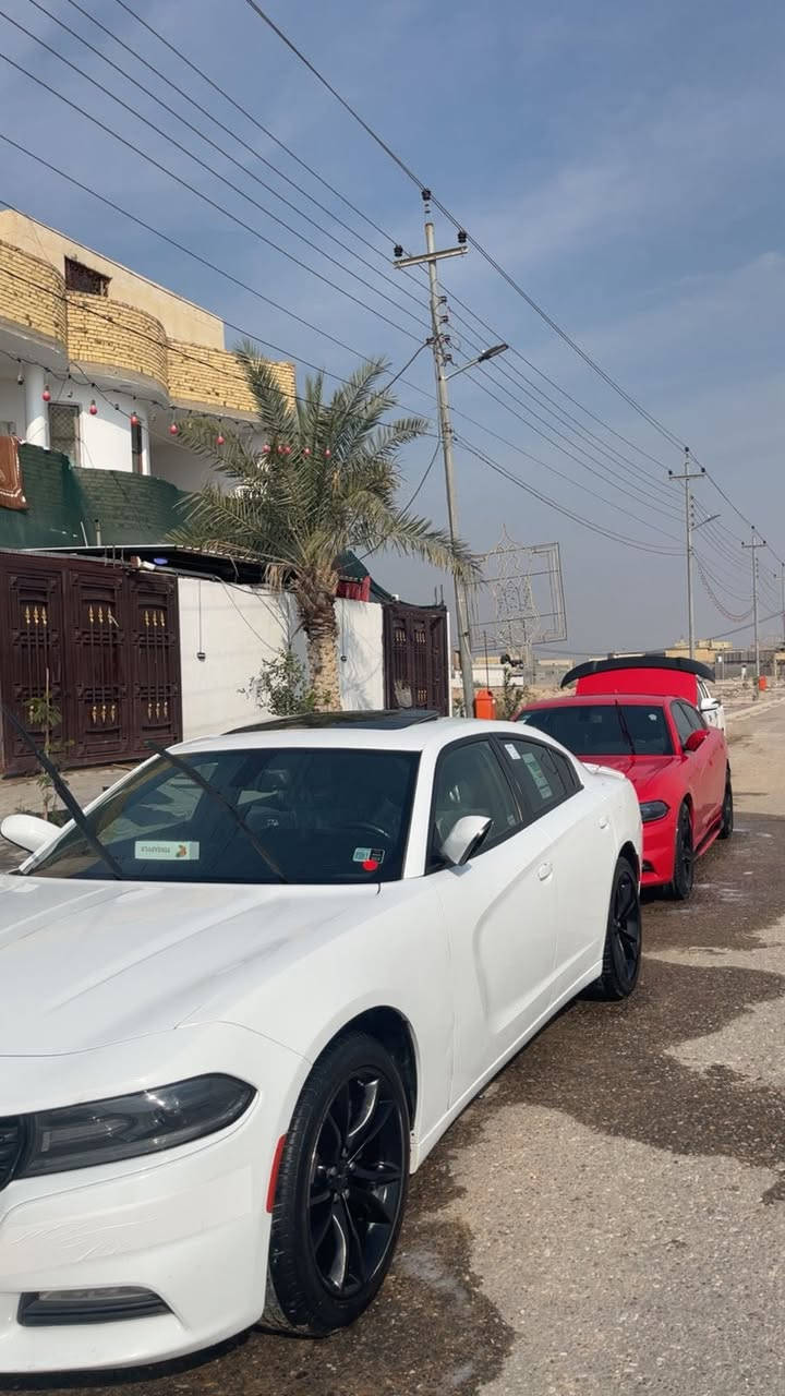 جارجر 16اصل فول السعر222وبيه مجال ***********
