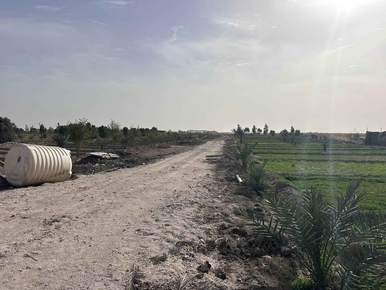 للبيع مزرعة مميزة على طريق تل لحم
📐 المساحة: 3 دونم ونصف
📍 الموقع: موقع ممتاز وسهل الوصول
🌳 مناسبة للاستثمار الزراعي أو الاستراحة
💧 تتوفر مقومات الزراعة (يُذكر إن وُجد ماء/أشجار/سياج)
افضل أنواع نخيل  🌴 

السعر مناسب وقابل للتفاوض
📞 للاستفسار والتواصل: (رقم الهاتف
***********
***********@
