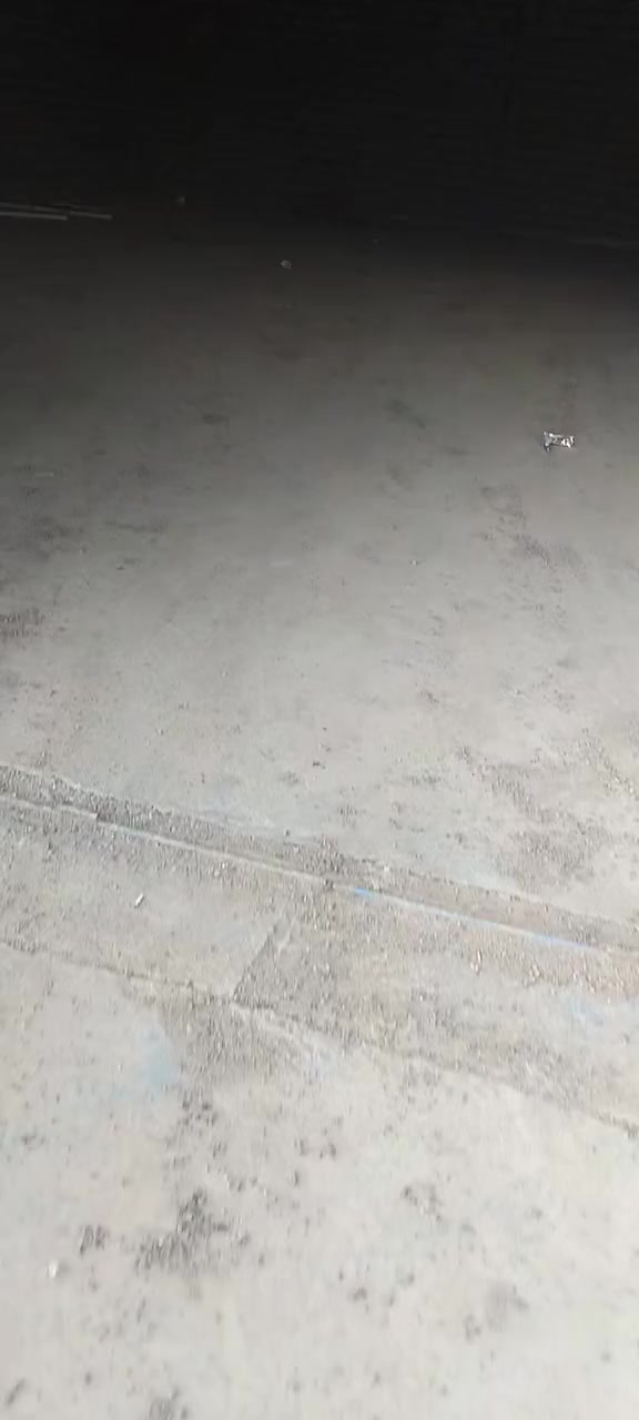 جملونات للايجار مساحة الواحد ٤٠٠متر العنوان بغداد جرف النداف خلف الشركه العامه للسيارات قرب معمل الادويه للإستفسار *********** ***********
