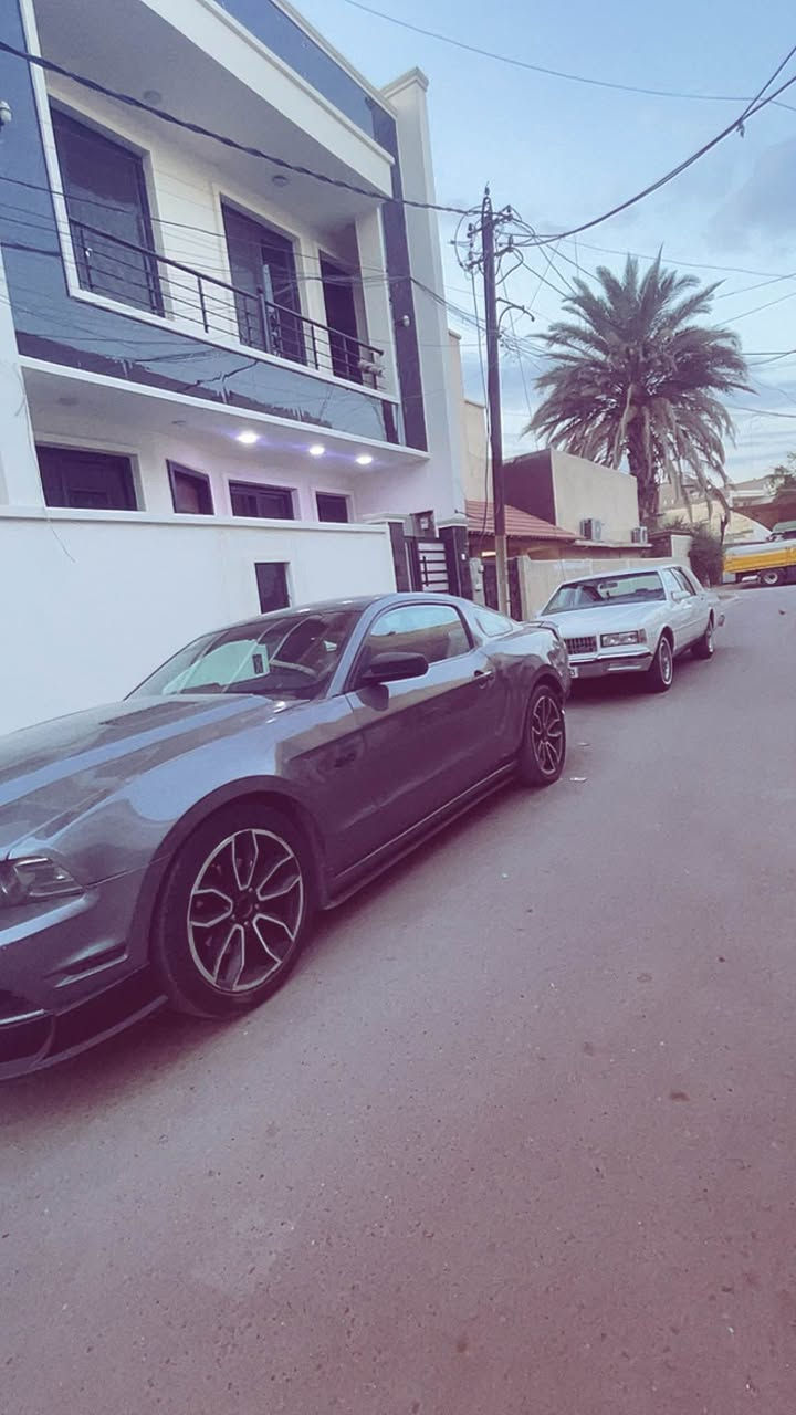 ‎السلام عليكم موستنك 2014 v6 
‎حادثه ثلاث قطع بيه رشات احسبه حزام  هي مو حزام 
‎عليه شباك روش 
‎سبايدر روش 
‎دفيوزر روش 
‎دوسات روش
‎بنيد سوبر سنيك
‎ويل cs اصلي 19 
‎لحيه ار تي ار 
‎جهاز obd 2 
‎دبات بورلا 
‎حلوك كورسا 
‎داخل جديد شامو وجلد 
‎كير ومحرك مكفولات سياره كله محسن وسوبر  
‎عليه اكسل ريسنك 3.73 مع برمجه ملف كامل يعني قويه كلش 
‎منظومه زنون كامل 
‎السعر 105 وبيه مجال الطيبين 
‎ عليه ادامه كامله مكانه المنصور 
*********** بغداد, العراق
