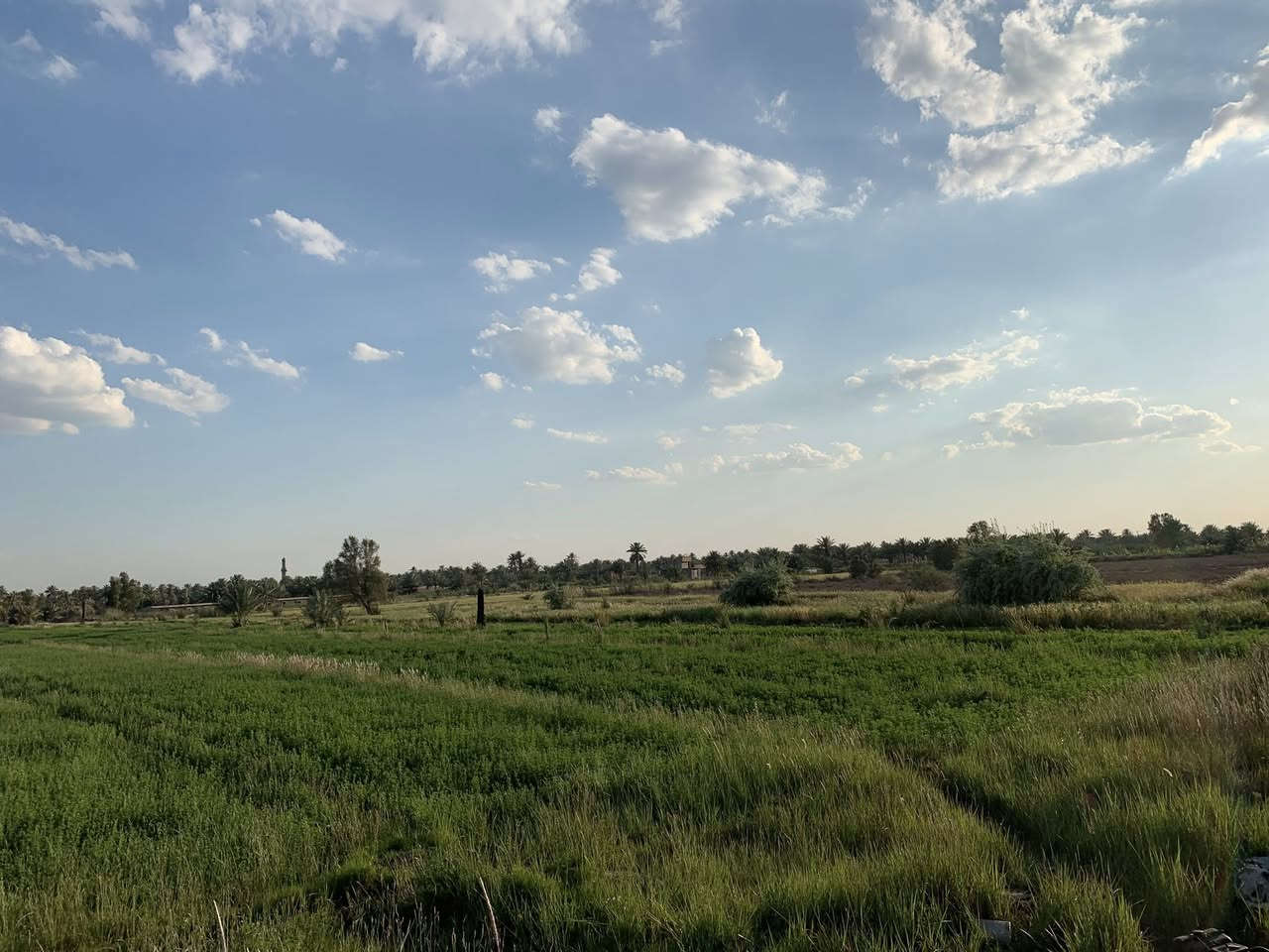 فرصه ذهبيه مزرعه ٦ دونم وربع طابو زراعي
كافة الخدمات 
طريق النيل القديم 
***********
