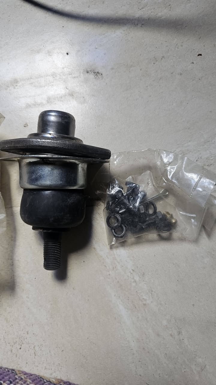 سلام عليكم نواعم كابرس و دولفين للبيع السعر خاص ***********
