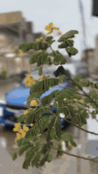 ستنكر GT2 • ٢٠١٨ • نجف