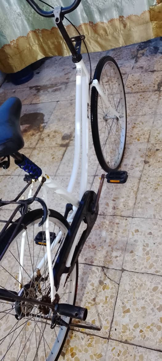 سلام عليكم شلونكم شباب باسكل للبيع حاويه نضيف ياباني مكان نجف حي الجمعيه قرب كراج بغداد مقابل حسن رحم ابل كباب سعره 100وبي مجال


**إذا كنت صاحب هذا الإعلان وتريد حذفه لأي سبب، رجاءا أرسل رسالة إلى الدعم الفني**