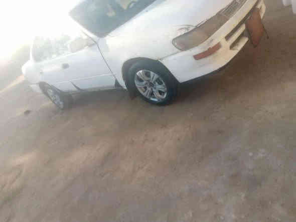 سلام عليكم كورلا موديل 93رقم انبار صاحبهه متوفي بيهه قسام شرعي وكاله سياره مگلوبه بيهه معجون لابخينهه بچف ومالج مكينه وگير زينات گير عادي السعر 19ورقه وبيهه مجال مكان الرمادي الشراي يتصل رقم الهاتف ***********
