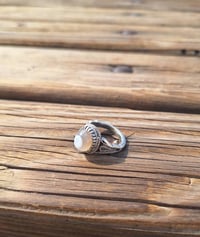 مراوس • المجموعة للبيع • البصرة