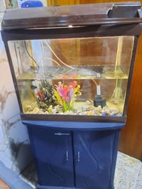 حوض • ٦٠×٥٠ • كامل