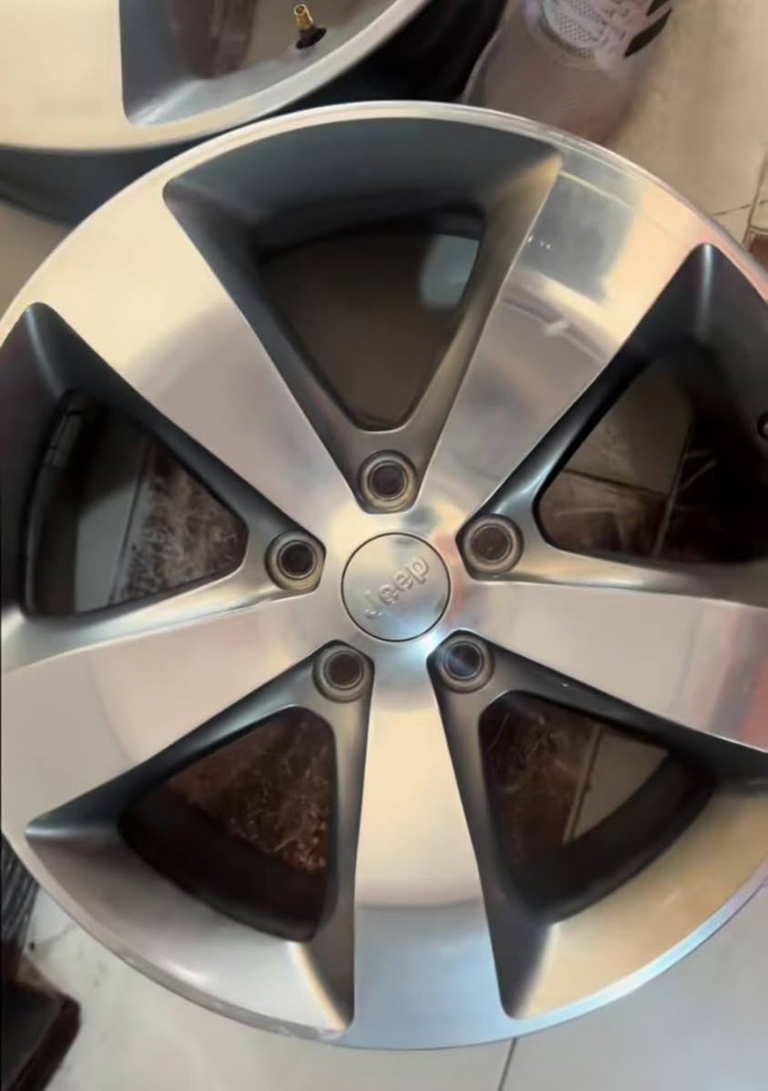 للبيع تخم ويل جيب حجم 20 اصلي كفاله عواج لحيم فطر السعر ٤٥٠ الف قفل قفل قفل ***********
