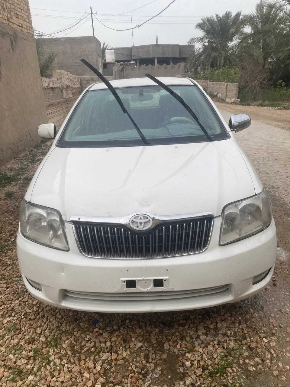 سلام عليكم كورلا ياباني مديل 2007 بيكاتشو  1600 كير ومحرك وتبريد مكفولات سياره مصبوغه حزام اثر شخوط بيها جاملغ وطخه بسيطه بلبدنه مكفوله شواصي لغود حوض تكمة قماره اكفلك اصوليات رقم مميز انكليزي نجف ترهم اقساط ونقد ***********
