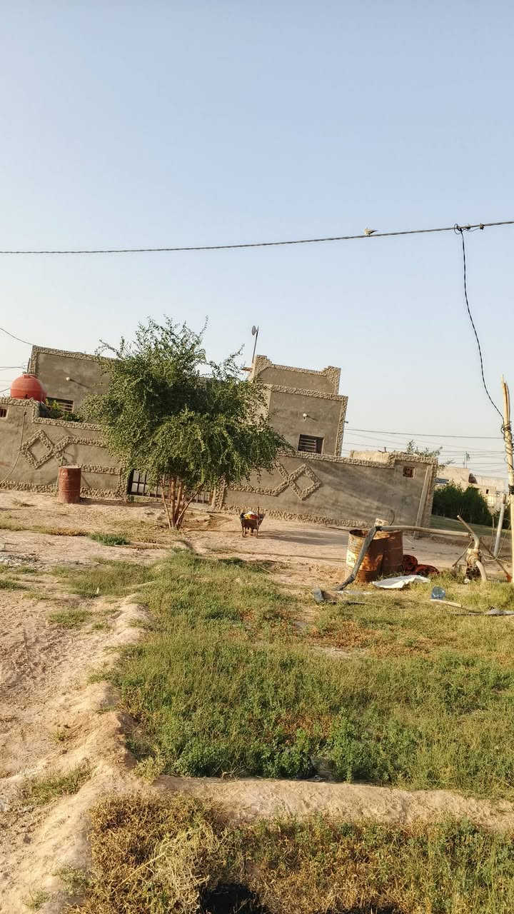 للبيع بيت قرب شارع الرابط نجف كربلاء عامود 350 مفرك الحماد مع دونم  الأرض مزروعه  وتحوي على...بير ارتوازي مع ماطور كهربائي ...طريق رسمي خطين كهرباء  ...ماء اساله خطين  ومدرسة ابتدائيه يبعد عن شارع الرابط بين كفل نجف شارع الحماد ٣٥٠متر  وتبعد عن الشارع العام كربلاء نجف ٨٠٠متر السعر 75 وبي مجال للشرايي
رجاء بس الشراي يراسل أو اتصل ***********....***********...
