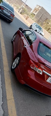 كورلا • ٢٠١٣ • الفلوجة