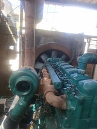 فالفو • راس توليد • الرفاعي