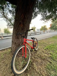 BMX • حجم 29 • عليه مجال