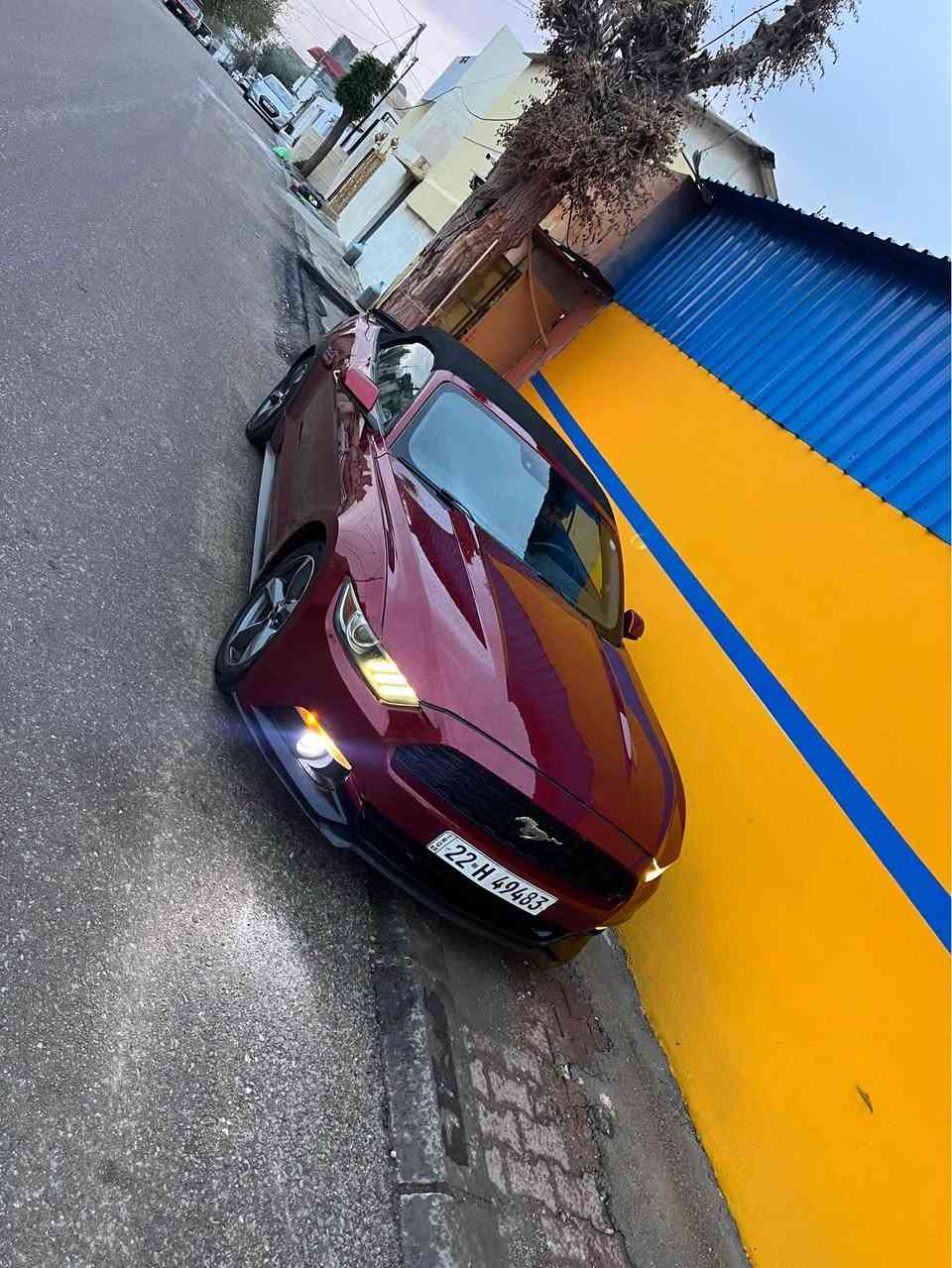 سلام عليكم 
موستانك ٢٠١٦ كشف
٦ سلندر. ٣.٧
مواصفات اعتيادي 
بصمه شاشه صغير كاميره
شفتات ستيرن
توماتيك
ابيع حيزام صبغ بدون داخل(راس شاصي واحد جوه دعاميه بيها شبر)
مكينه گير صدر كله شرط
سعر قفله ١١٨ ورقه و ماكو هيج سعر
اراوس حسب قناعه
كشف شغال و مابيها شي

سڵاو نرخی خوار بازاڕ
مۆستانگ ٦ بستۆن
تۆماتیک
گێڕسوکان
کامیرە وبەسمەوشاشە بچوک
بە حیزام ئەیفرۆشم
ناوگرتنی نیە(سەرە شاسی لای سەکن پەڵەیەک بۆیاخی هەیە لە ژێر دەعامیەکە
نرخی ١١٨ گەڵا قفل
ئەگۆڕمەوە بە شتێک بە دڵم بێت

***********
*********** السليمانية, العراق
