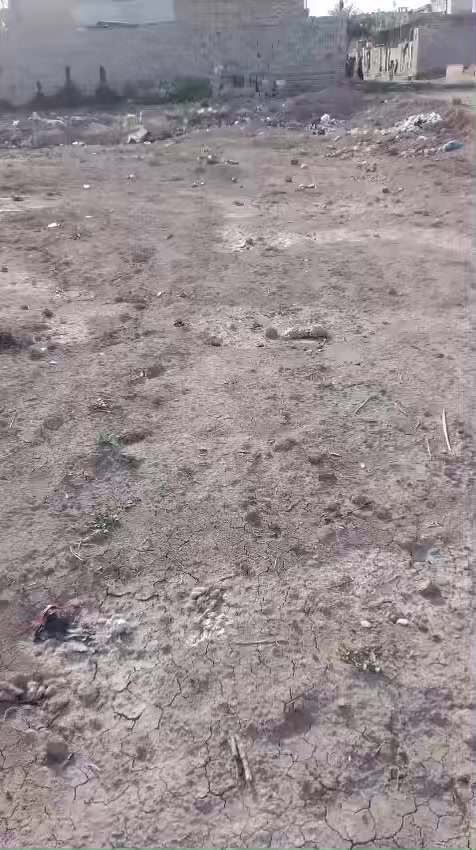 السلام عليكم قطعه للبيع دوانم الحاج لازم في حي الحسن العسكري مساحه القطعه 150 متر المجاري والكهرباء والخدمات كلهن قريبات على القطعه للتواصل والاستفسار ***********
